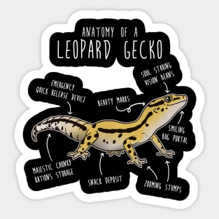 Stripe Leopard Gecko Lizard Reptile Anatomy Sticker